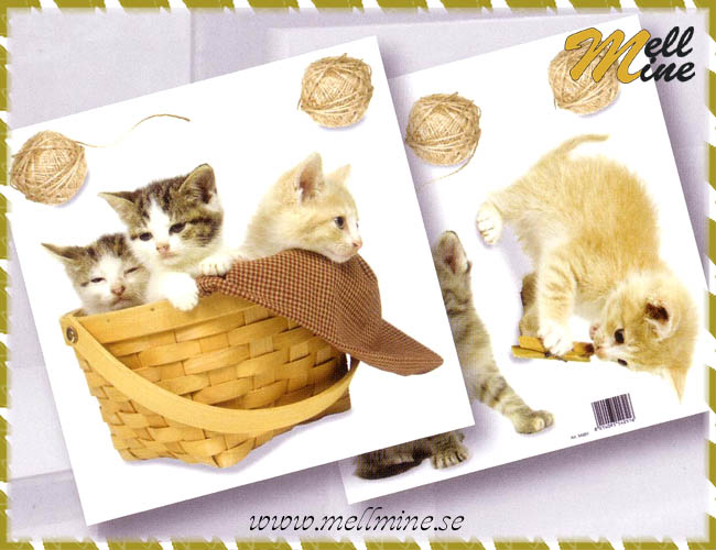 Decor Easy, katter