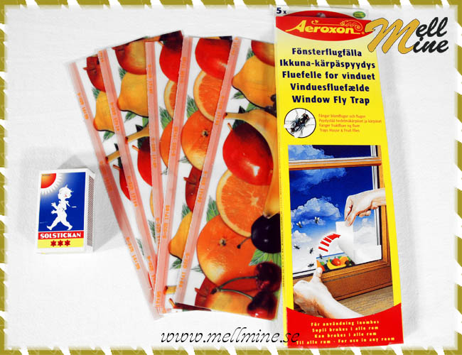 F�nsterflugf�lla, f�ngar blomflugor och flugor