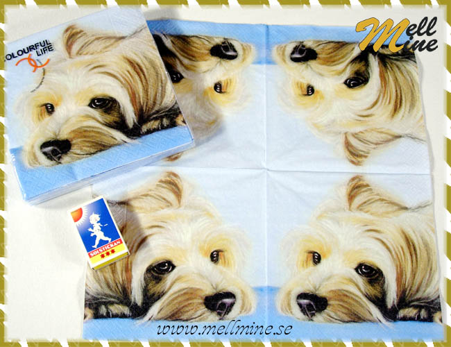 20-pack servetter, liggande hund