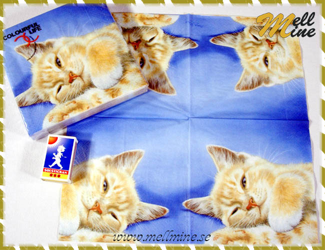 20-pack servetter, liggande katt