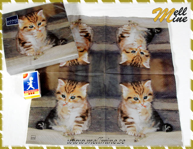20-pack servetter, kattunge