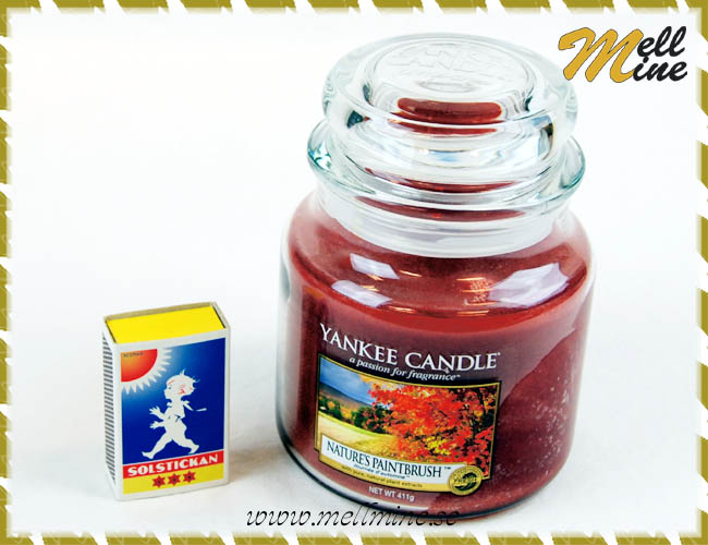 Yankee Candle housewarmer, medium jar - Natures paintbrush